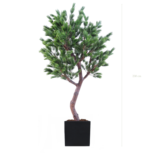 [A-AB5-FB9] Le Pin 230 cm - Cube Noir #Semi-naturel