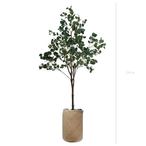[A-AB7-TR3] L'Arbre Eucalyptus 250 cm - Pot Tressé #Artificiel