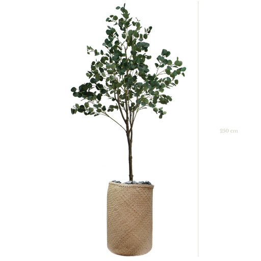 [A-AB7-TR4] L'Arbre Eucalyptus 250 cm - Pot Tressé #Artificiel