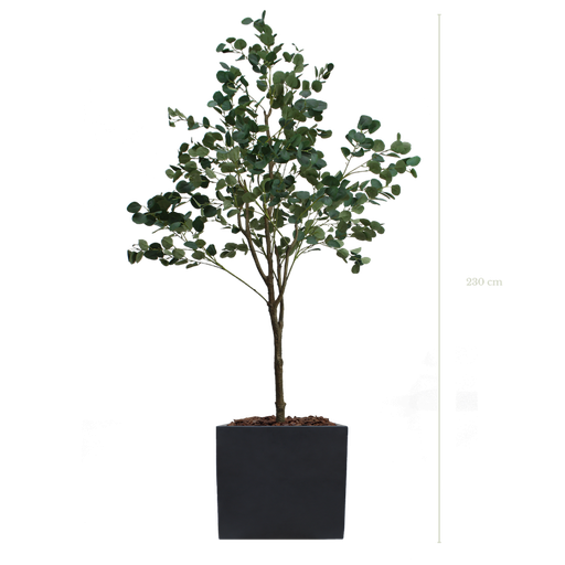 [A-AB7-FB9] L'Arbre Eucalyptus 230 cm - Cube Noir #Artificiel