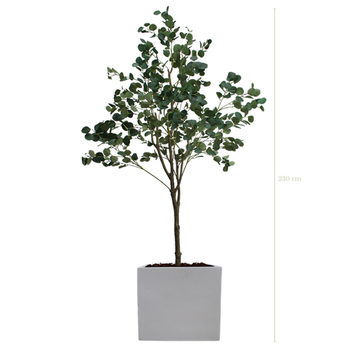 [A-AB7-FB10] L'Arbre Eucalyptus 230 cm - Cube Blanc #Artificiel