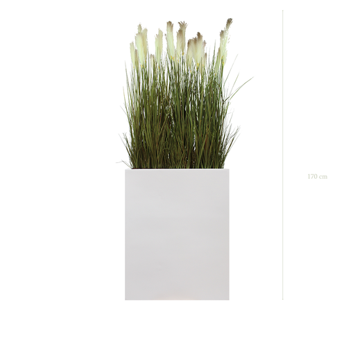 [A-TG1-FB1] Séparateur M. Pampas 170 cm - Bac Blanc #Artificiel