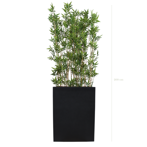 [A-TG4-FB2] Séparateur M. Bambous 200 cm - Bac Noir #Semi-naturel