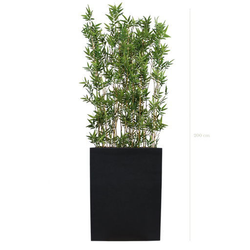 [A-TG4-FB2] Séparateur M. Bambous 200 cm - Bac Noir - Semi-naturel