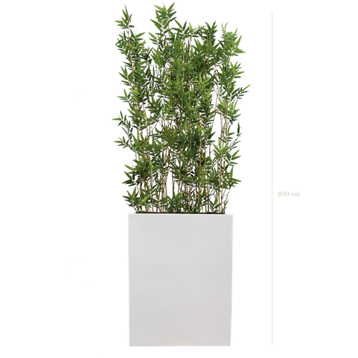 [A-TG4-FB1] Séparateur M. Bambous 200 cm - Bac Blanc #Semi-naturel