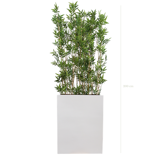 [A-TG4-FB1] Séparateur M. Bambous 200 cm - Bac Blanc - Semi-naturel