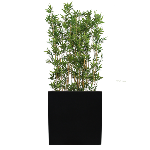 [A-TG4-FB4] Séparateur L. Bambous 200 cm - Bac Noir #Semi-naturel