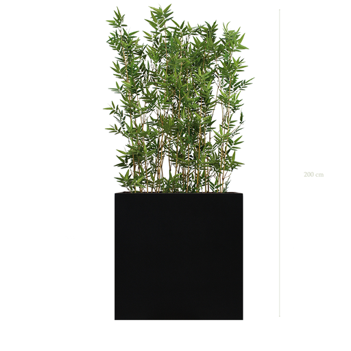 [A-TG4-FB4] Séparateur L. Bambous 200 cm - Bac Noir - Semi-naturel