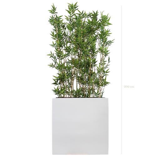 [A-TG4-FB3] Séparateur L. Bambous 200 cm - Bac Blanc #Semi-naturel
