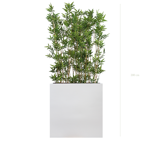 [A-TG4-FB3] Séparateur L. Bambous 200 cm - Bac Blanc - Semi-naturel