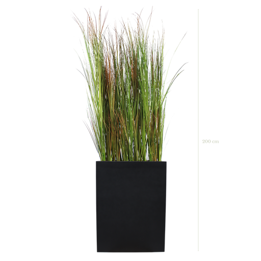 [A-TG2-FB2] The Scandinavian Grasses M. black Divider #Artificial