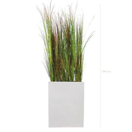 [A-TG2-FB1] The Scandinavian Grasses M. white Divider #Artificial