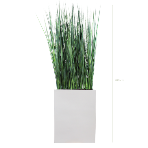 [A-TG6-FB1] Séparateur M. Graminées Zen 200 cm - Bac Blanc #Artificiel