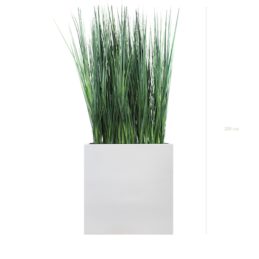 [A-TG6-FB3] Séparateur L. Graminées Zen 200 cm - Bac Blanc - Artificiel