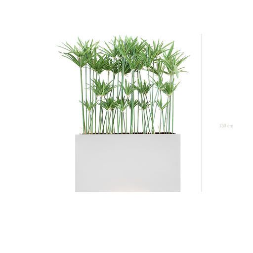 [A-TG5-FB6] The Papyrus S. white Divider #Artificial