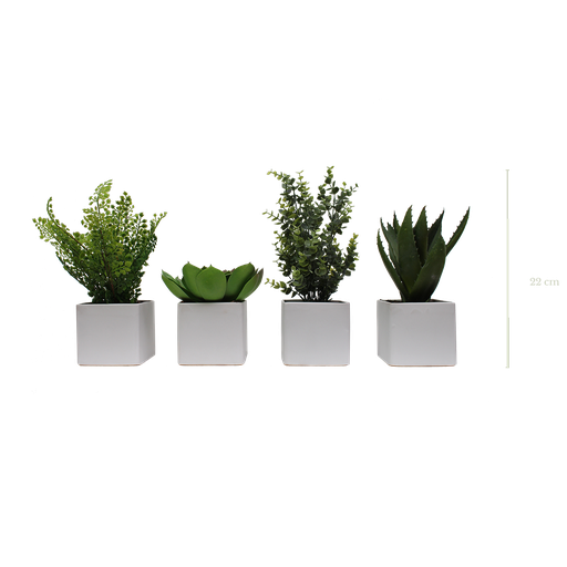 [A-PP3-CE3] Lot de 4 pots végétalisés - Pots Blancs #Artificiel