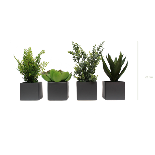 [A-PP3-CE4] Set mit 4 bepflanzten Töpfen – graue Töpfe #künstlich