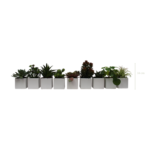[A-PP1-CE7] Set of 9 plants in white square pots #Artificial