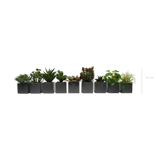 [A-PP1-CE8] Set of 9 plants in grey square pots #Artificial