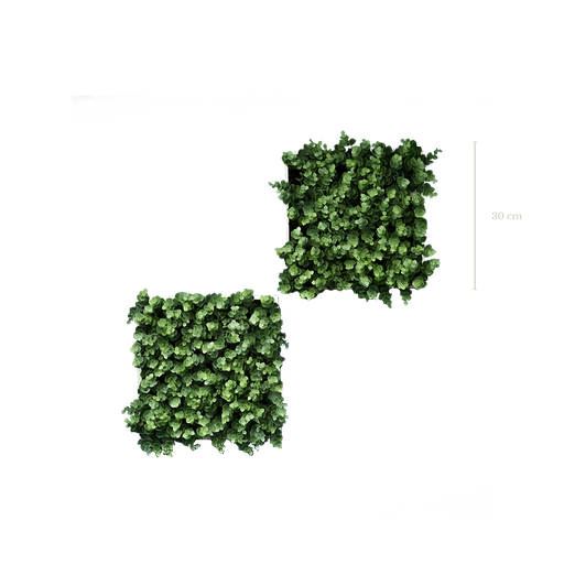 [A-MS3] Lot de 2 cadres eucalyptus #Artificiel