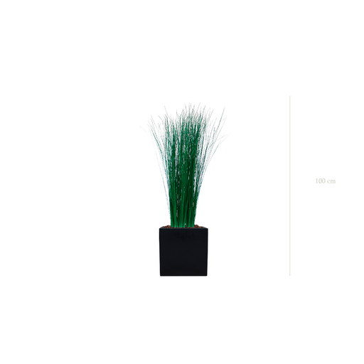 [S-TG7-FB7] The Small Grass - Black Cube #Stabilized