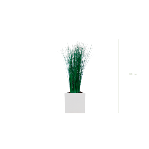 [S-TG7-FB8] The Small Grass - White Cube #Stabilized