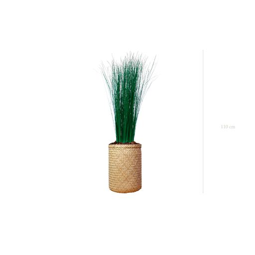 [S-TG7-TR2] La Petite Graminée - Pot Tressé #Stabilisé