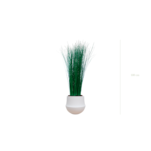 [S-TG7-CE1] La Petite Graminée - Pot Rond Blanc #Stabilisé