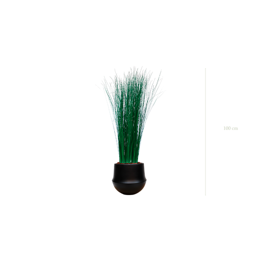 [S-TG7-CE9] The Small Grass - Black Round Pot #Stabilized