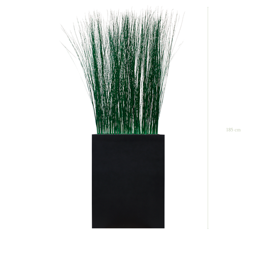 [S-TG7-FB2] Grass M. Black Divider #Stabilized