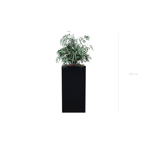 [S-PT2-FB19] Le Petit Nicoly - Cube Haut Noir #Stabilisé