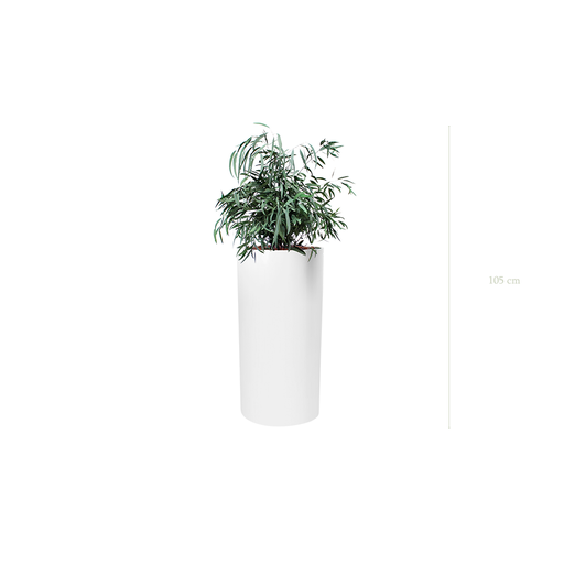 [S-PT2-FB18] The Small Nicoly - Tall White Cylinder #Stabilized