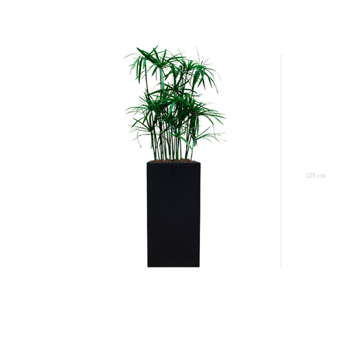 [S-TG5-FB19] Der Papyrus – hoher kubischer Topf in Schwarz #Stabilisiert