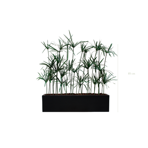 [S-TG5-FB15] Papyrus Planter - Black Planter #Stabilized