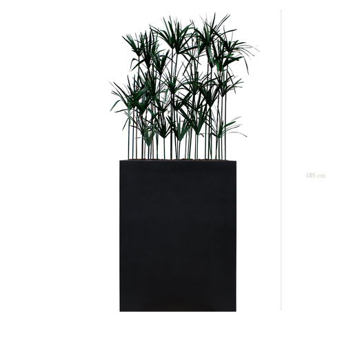 [S-TG5-FB2] Séparateur M. Papyrus - Bac Noir #Stabilisé