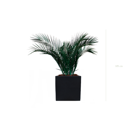 [S-TG6-FB9] The Palm - Black Cube #Stabilized