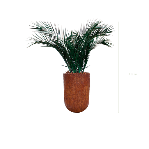 [S-TG6-FC5] Le Palm - Pot Marron #Stabilisé