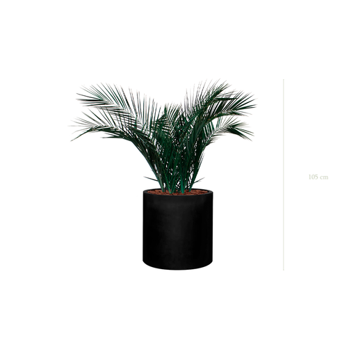 [S-TG6-FB23] Le Palm - Cylindre Noir #Stabilisé