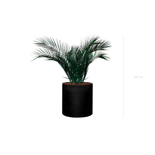 [S-TG6-FB23] The Palm - Black Cylinder #Stabilized