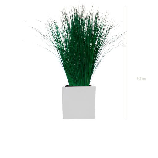 [S-PT1-FB10] The Tall Grass - White Cube #Stabilized