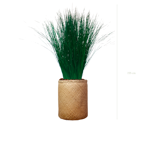 [S-PT1-TR3] The Tall Grass - Natural woven Pot #Stabilized