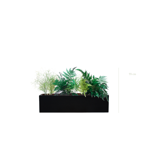 [S-J2-FB15] Jardinière Fougère - Bac Noir #Stabilisé