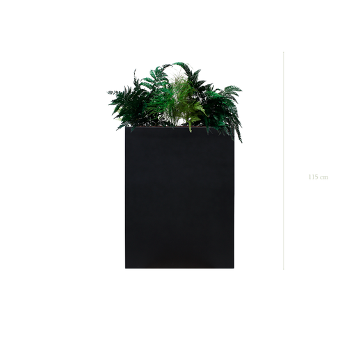 [S-J2-FB2] The Fern M. Black Divider #Stabilized