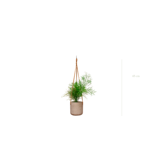 [S-TG1-B1] L'Herbe Folle - Pot Béton - Stabilisé