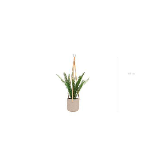 [S-TG9-B1] The Foxtail - Concrete Pot #Stabilized