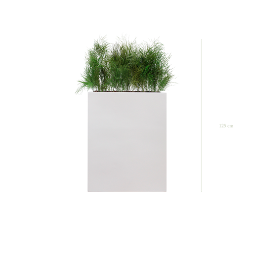 [S-TG1-FB1] Wild Grass M. White Bac #Stabilized