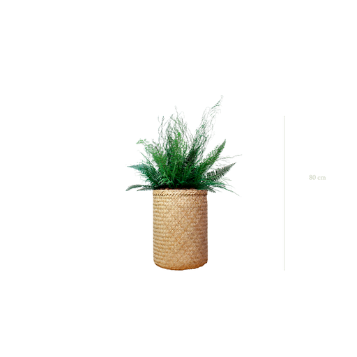 [S-TG10-TR2] The Forest - Natural woven Pot #Stabilized