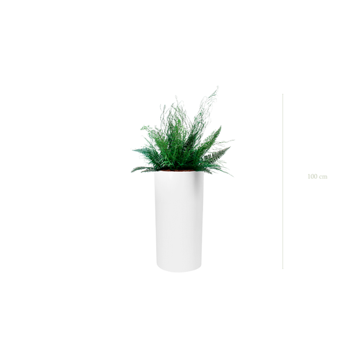 [S-TG10-FB18] The Forest - Tall White Cylinder #Stabilized