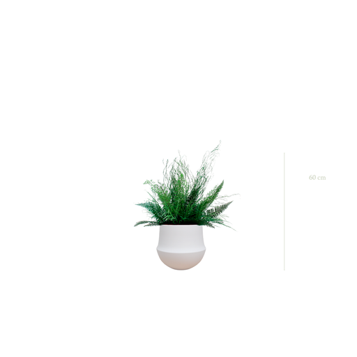 [S-TG10-CE1] La Forêt - Pot Rond Blanc #Stabilisé