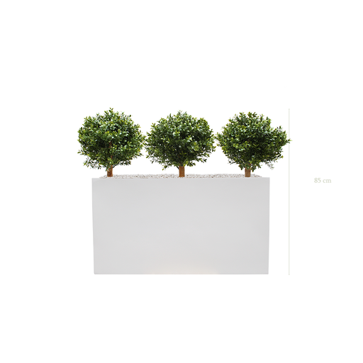 [AE-PT8-FB6] The Small Boxwood S. White Divider #Artificial #Outdoor